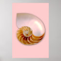 Inside of Nautilus posters