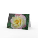 Inside the fence greeting card