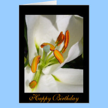 Inside The Lily Birthday Card cards