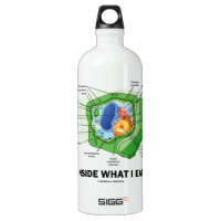 Inside What I Eat (Plant Cell Biology Vegetarian) SIGG Traveler 1.0L Water Bottle