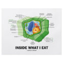 Inside What I Eat (Plant Cell Vegetarian Humor) flyers