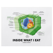 Inside What I Eat (Plant Cell Vegetarian Humor) Flyers