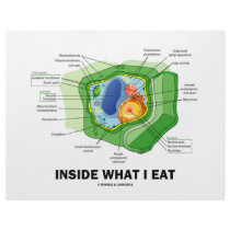 Inside What I Eat (Plant Cell Vegetarian Humor) Letterhead Design