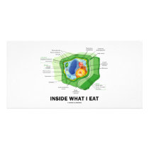 Inside What I Eat (Plant Cell Vegetarian Humor) photo cards by wordsunwords Inside What I Eat (Plant Cell Vegetarian Humor) photo cards