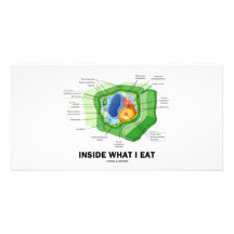 Inside What I Eat (Plant Cell Vegetarian Humor) Photo Card Template