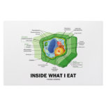 Inside What I Eat (Plant Cell Vegetarian Humor) Custom Stationery