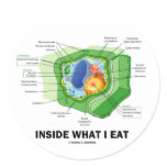 Inside What I Eat (Plant Cell Vegetarian Humor) stickers