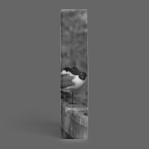 Inspiration Birds Binder binders