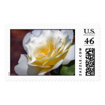 Inspiration Blooming Postage Stamp