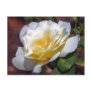 Inspiration Blooming Postcard