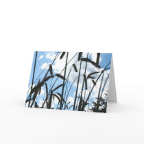 Inspiration cards by Simfotos Inspiration cards