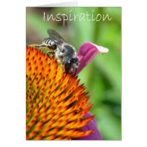 Inspiration cards