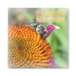 Inspiration Echinacea and Bee Magnet