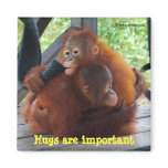 Inspiration from Babies: Hugs Are Important Fridge Magnets