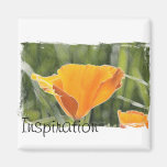 Inspiration Magnets