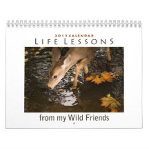 Inspirational Animal Calendar 2013