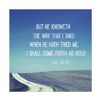 Inspirational Bible Verse Job Quote Stretched Canvas Print