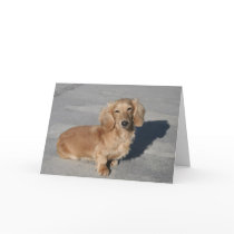 Inspirational cards
