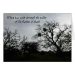 Inspirational Comfort Card: Oaks against gray sky cards