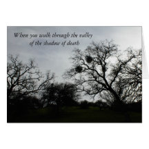 Inspirational Comfort Card: Oaks against gray sky
