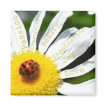 Inspirational Daisy Flower Magnet