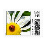 Inspirational Daisy Flower Postage