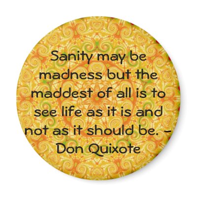 Inspirational Don Quixote quote Magnet by spiritcircle