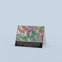Inspirational Gifts Life Changes cards