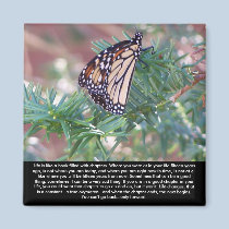Inspirational Gifts Life Changes magnets