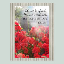 Inspirational Greeting Luke 12:7 Postcards postcards