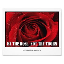 Inspirational Insights Photo Print 10"x 8"