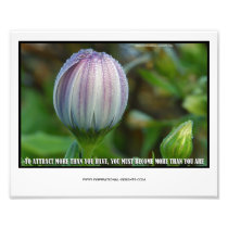 Inspirational Insights Photo Print 10"x 8"