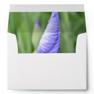Inspirational Iris-Envelope envelope