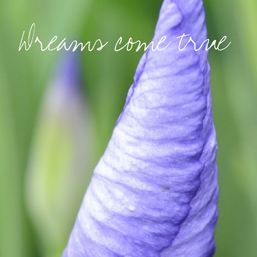 Inspirational Iris magnet