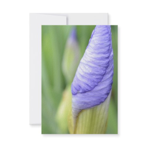 Inspirational Iris R.S.V.P. invitation