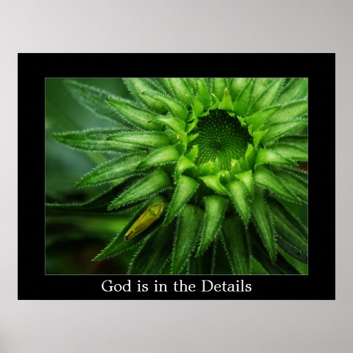 Inspirational Nature Poster Template Zazzle