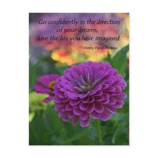 Inspirational postcards bulk discount Zinnia postcard