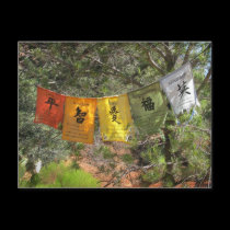 Inspirational Prayer Flags postcards