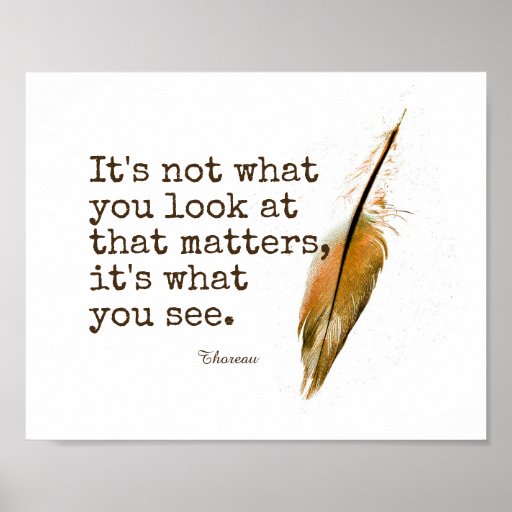 Feather Quote / Feather Quote | Simply B Extraordinary - They are from