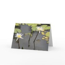 Inspirational Water Lilies cards