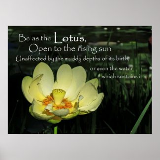 Inspirational Yellow Lotus Blossom Poster Print