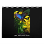 INSPIRATIONS 2011 calendars