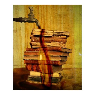 Inspiration's Fount Poster by Maedusae