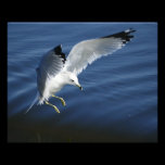 Inspire 8x10 Photo photography