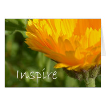 Inspire cards