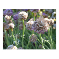 Inspire Joy postcards