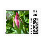 Inspire Love Rose Postage stamps