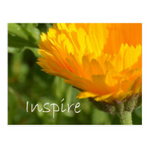 Inspire postcards