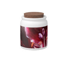 Inspired Geranium Candy Jar