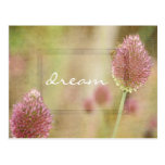 Inspired Pink Floral Post Cards